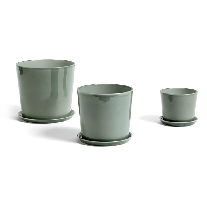 Plato para maceta Botanical Family L, Dusty green HAY