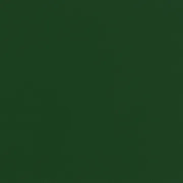 Sillón lounge Chisel - Haya lacada color verde intenso - HAY