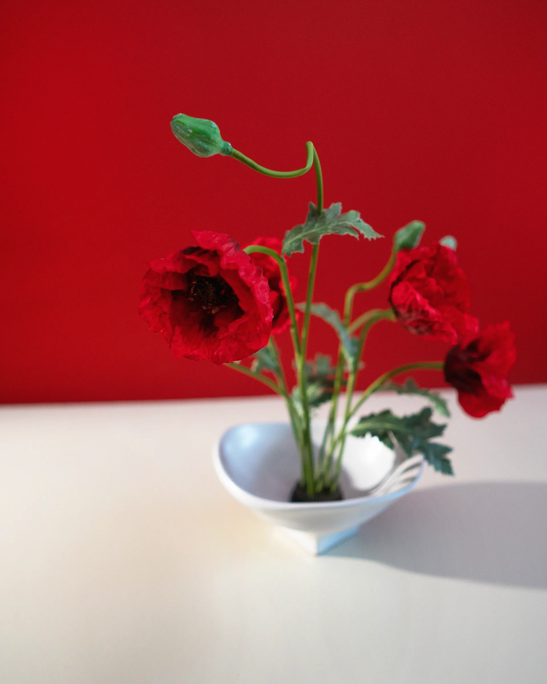 Bol Nami large 20x23 cm, White Hein Studio