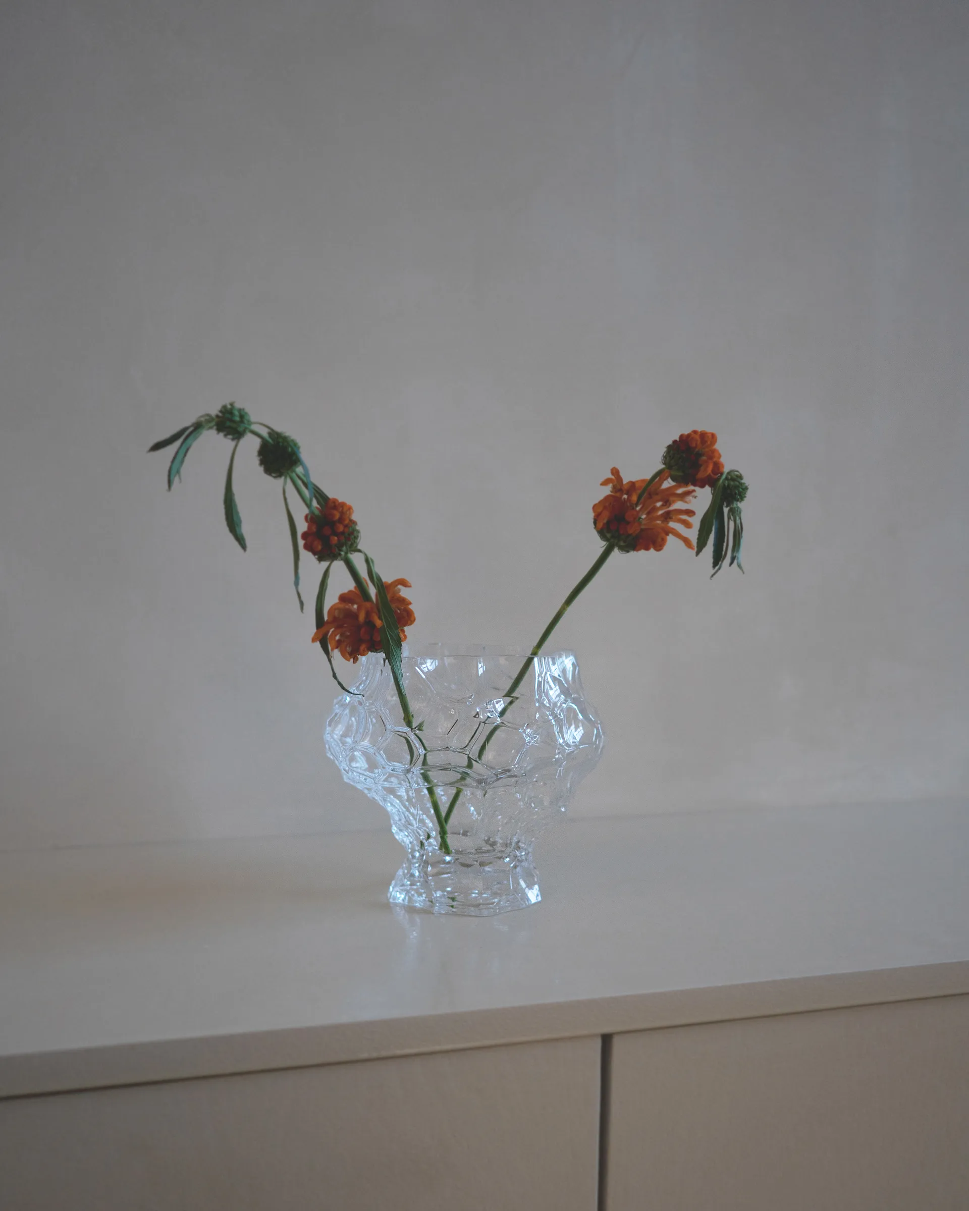 Jarrón Canyon medium 18 cm, Clear Hein Studio