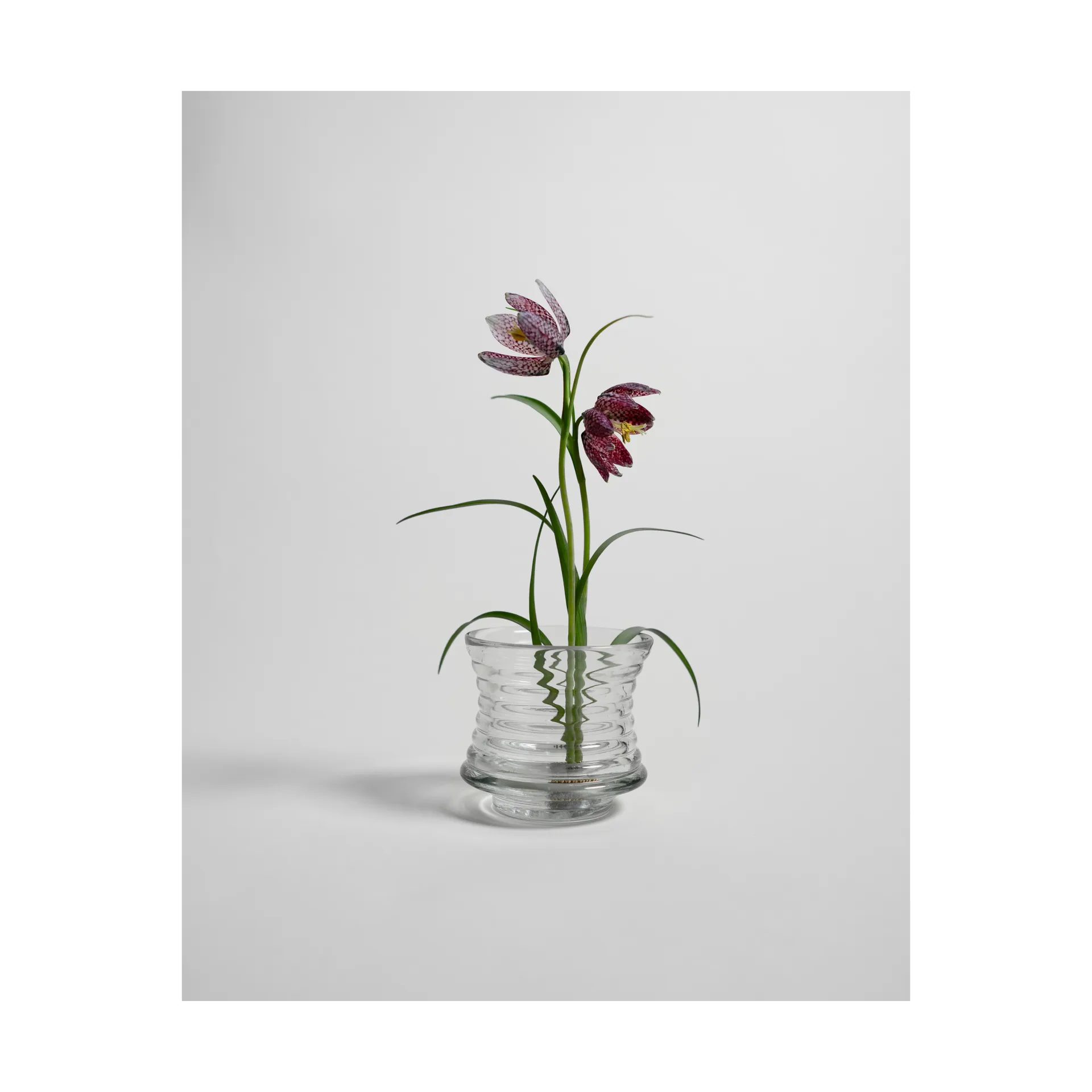 Jarrón Kenzan, Ø6 cm Hein Studio