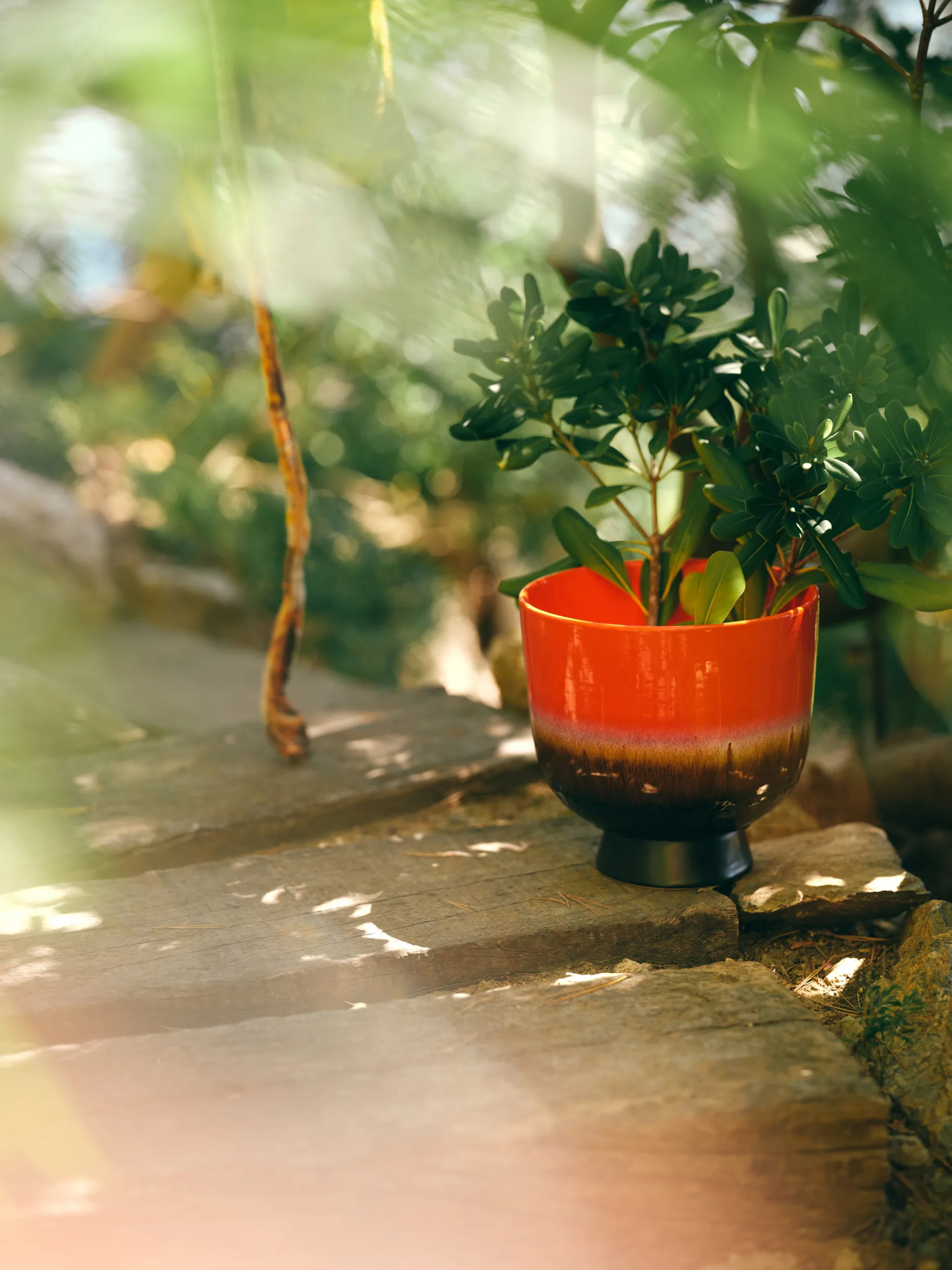 Maceta Retro Ø20,5 cm, Cherry red HKliving