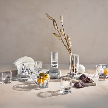 2 Vasos Forma 30 cl - transparente - Holmegaard
