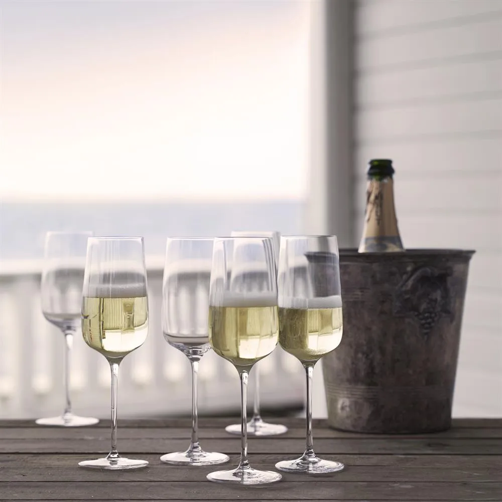 Copas de champagne Bouquet set de 6, 29 cl,  Holmegaard