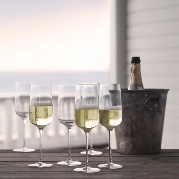 Copas de champagne Bouquet set de 6, 29 cl - Holmegaard