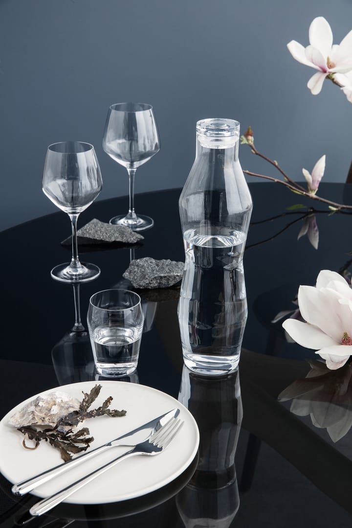 Vaso de agua transparente Perfection, 6 unidades, 23 cl Holmegaard