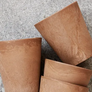 4 Tazas Serveur - Dorado - House Doctor