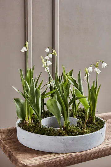 Candelabro The Ring, vela gruesa - Hormigón - House Doctor