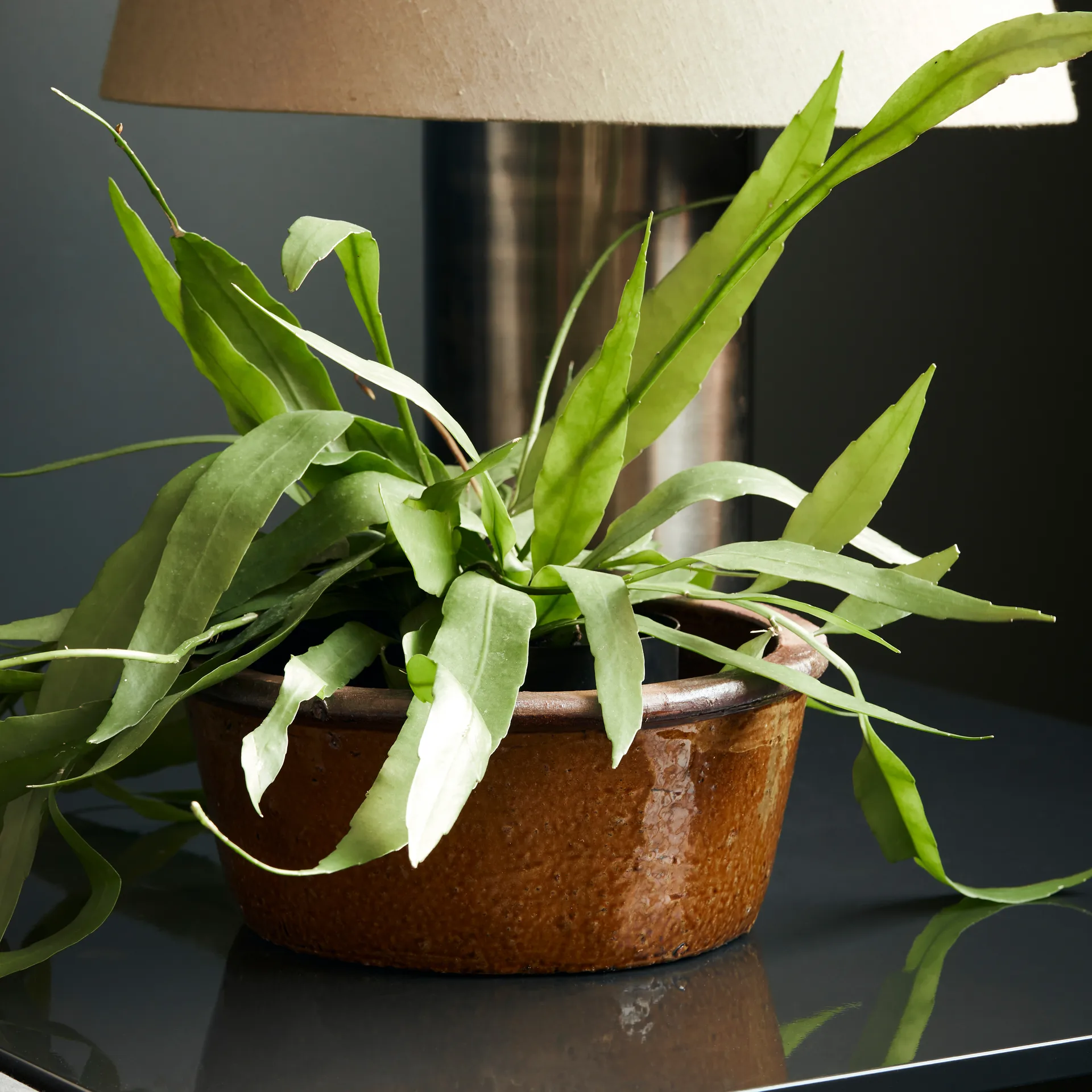 Maceta Whai Ø30 cm, amarillo mostaza House Doctor