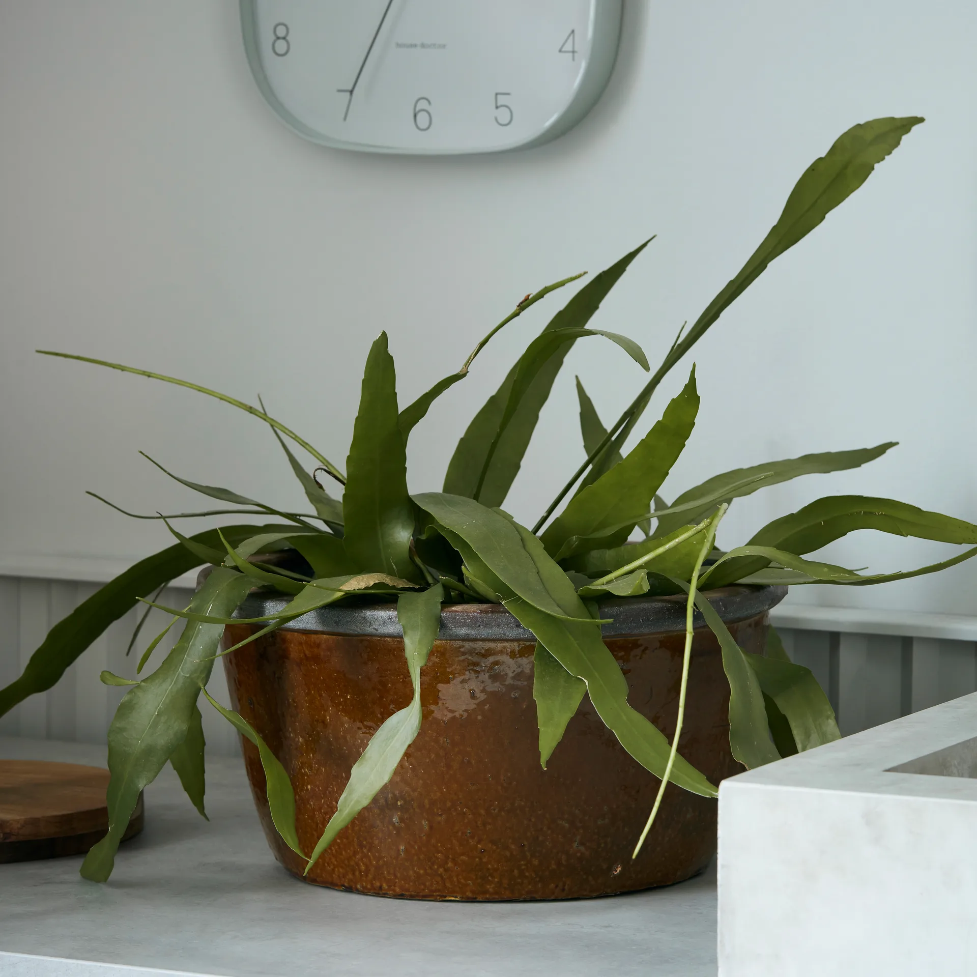 Maceta Whai Ø37 cm, amarillo mostaza House Doctor