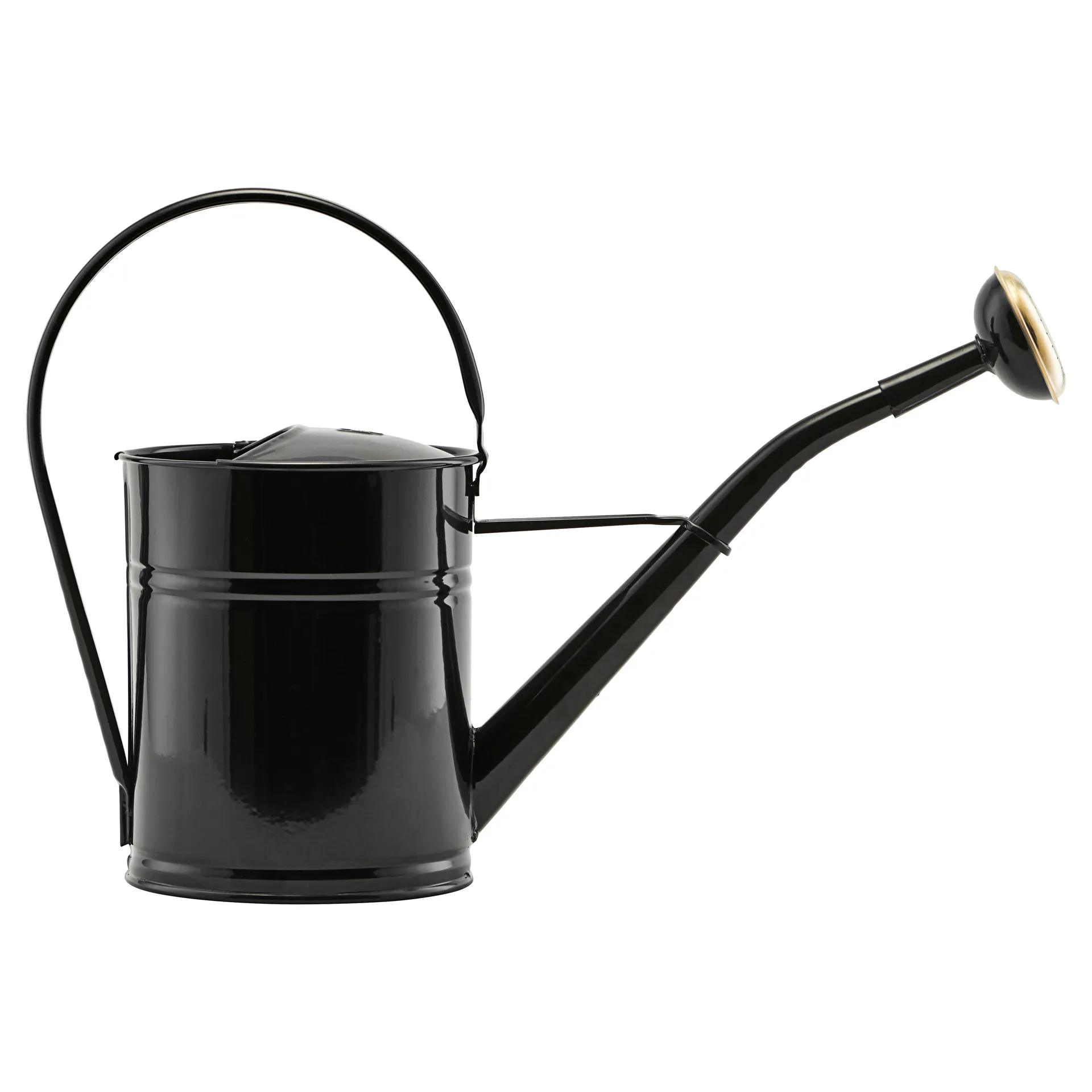 Regadera Water, negro House Doctor