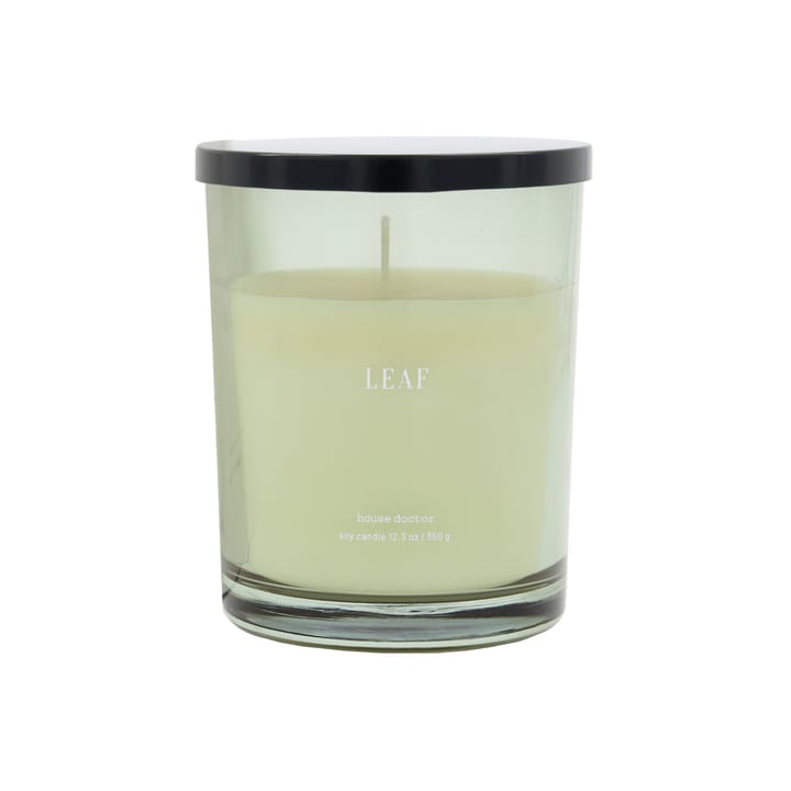 Vela perfumada Leaf 50 horas, verde House Doctor