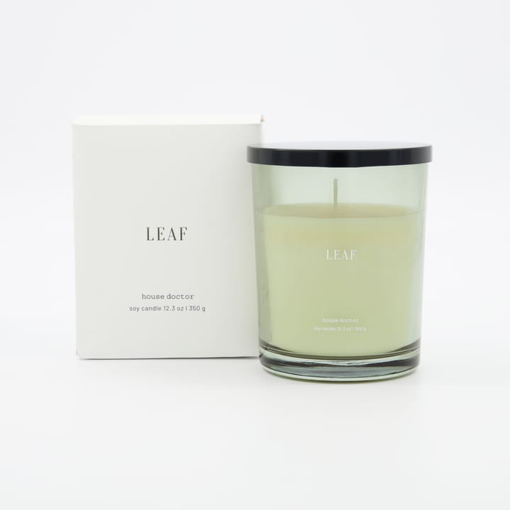 Vela perfumada Leaf 50 horas, verde House Doctor