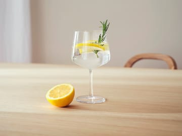 2 Copas de cóctel & gin Essence - 63 cl - Iittala