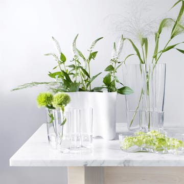 2 Jarrones Alvar Aalto - transparente - Iittala