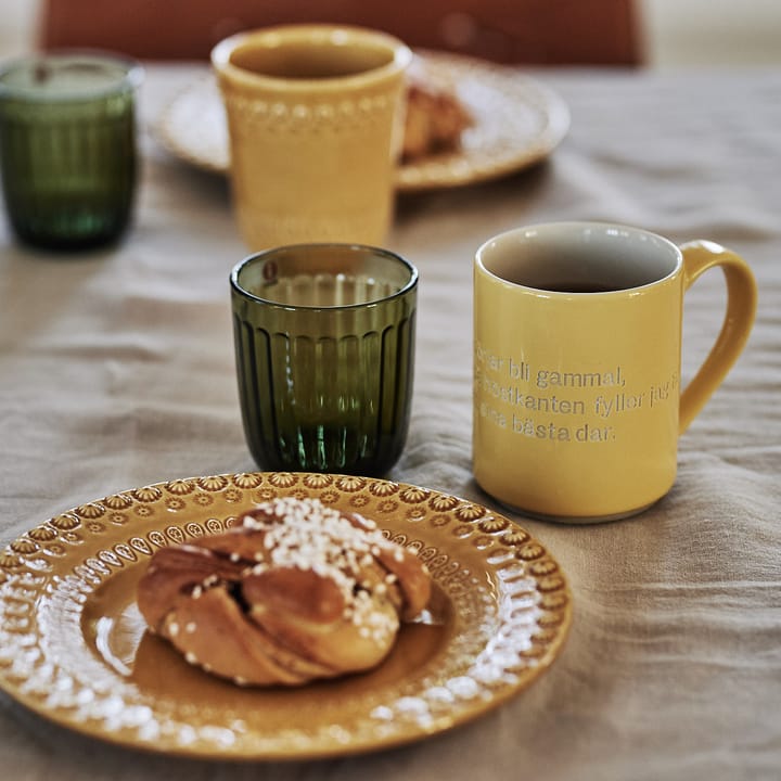 2 Vasos Raami 26 cl, verde musgo Iittala