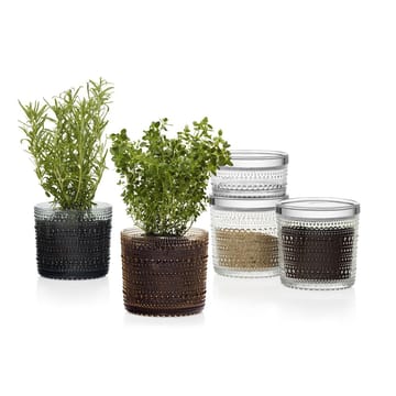 Bote cristal Kastehelmi grande - transparente - Iittala