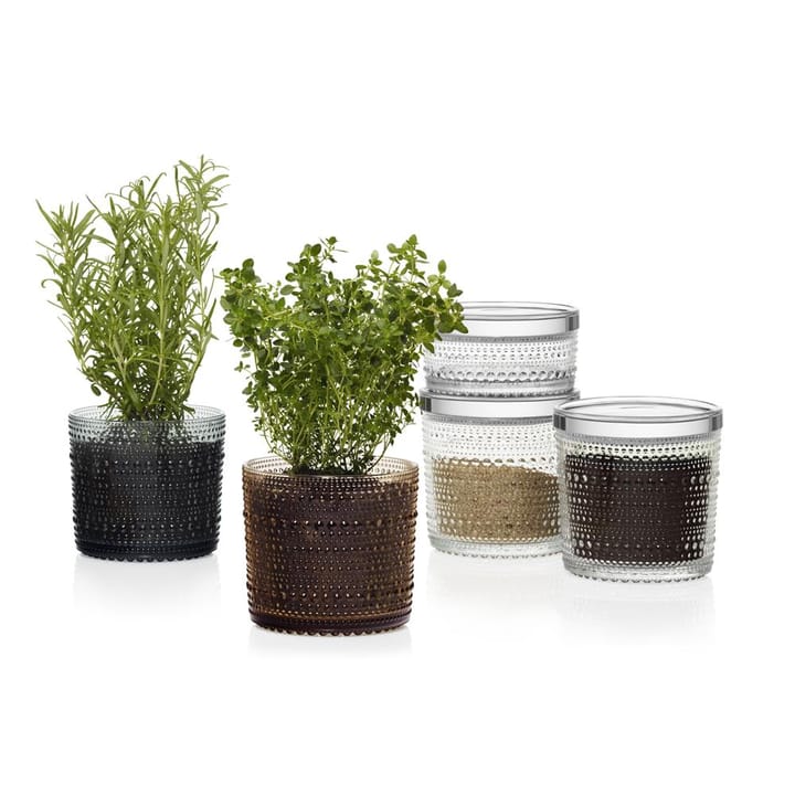 Bote cristal Kastehelmi grande, transparente Iittala