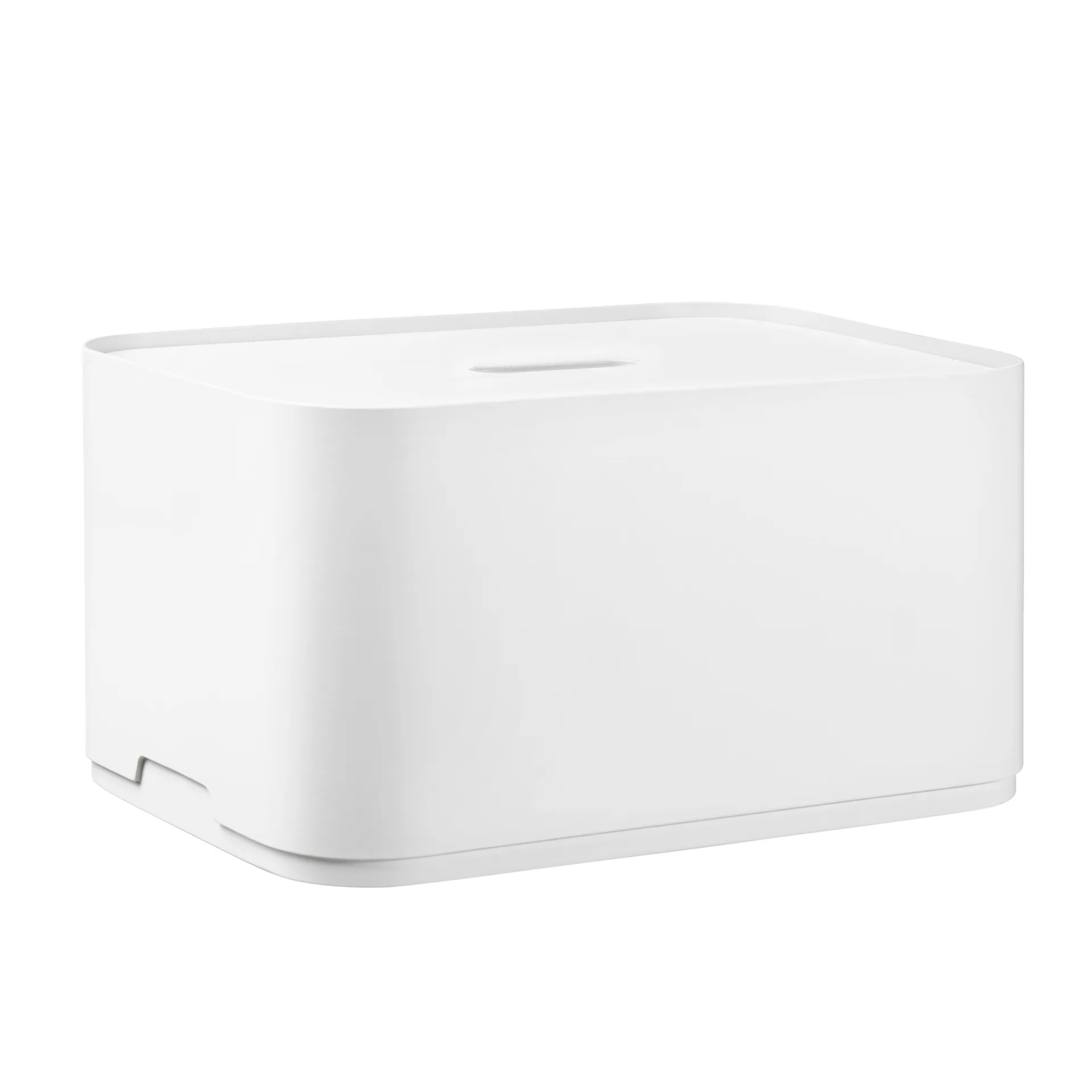 Caja de almacenaje Vakka L, fresno blanco Iittala