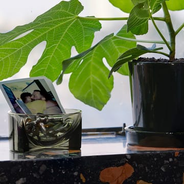 Cuenco de vidrio Kuru 6x13 cm - verde musgo - Iittala