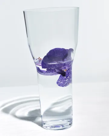 Jarrón Solare alto Ø12x26 cm - Claro - Iittala