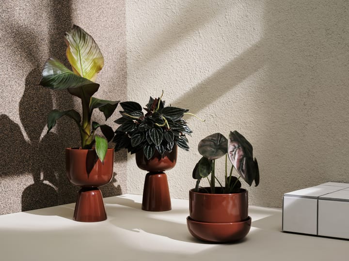 Maceta con plato Nappula Ø17 cm altura 13 cm, marrón Iittala