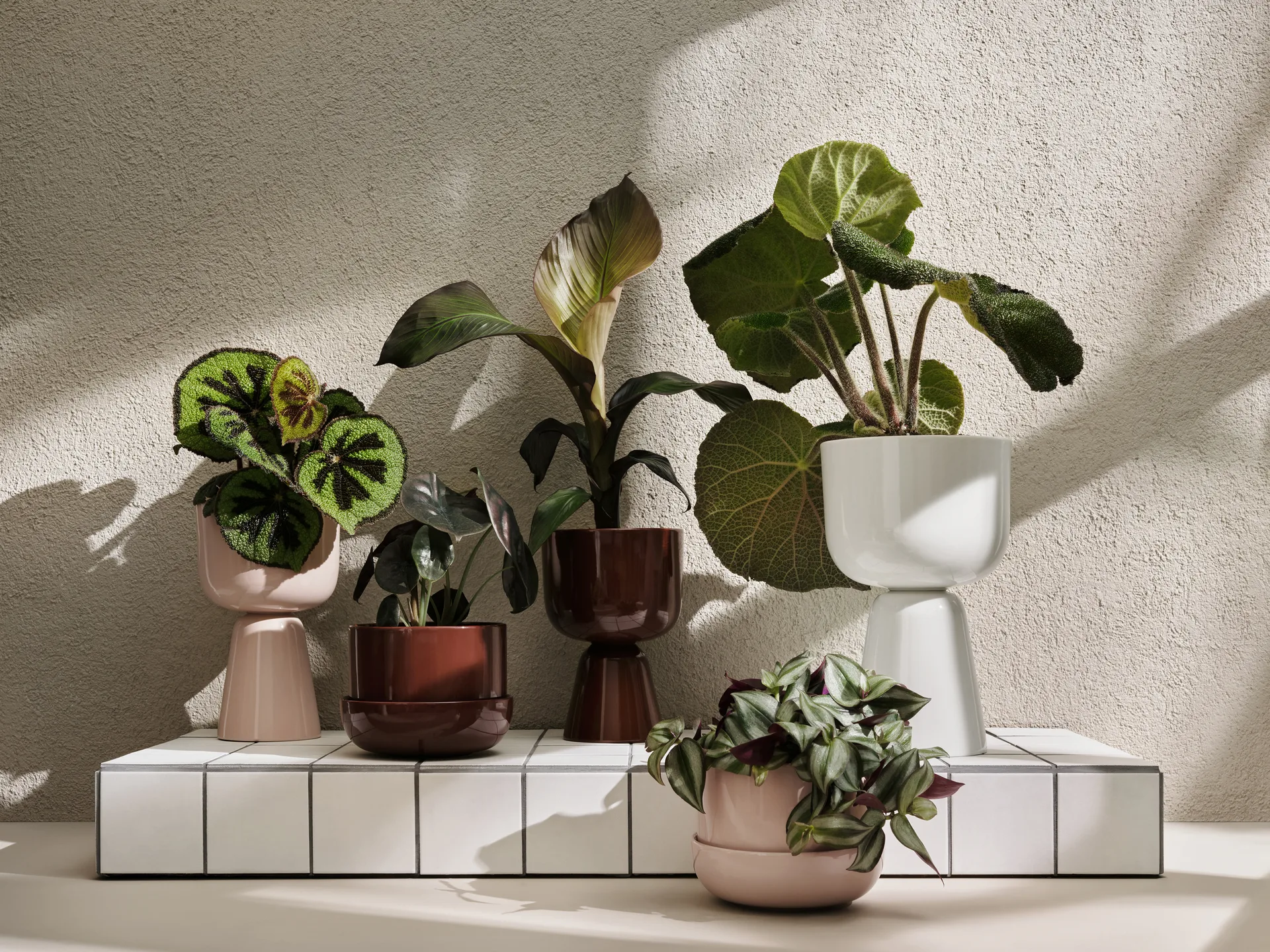 Maceta con plato Nappula Ø17 cm altura 13 cm, marrón Iittala