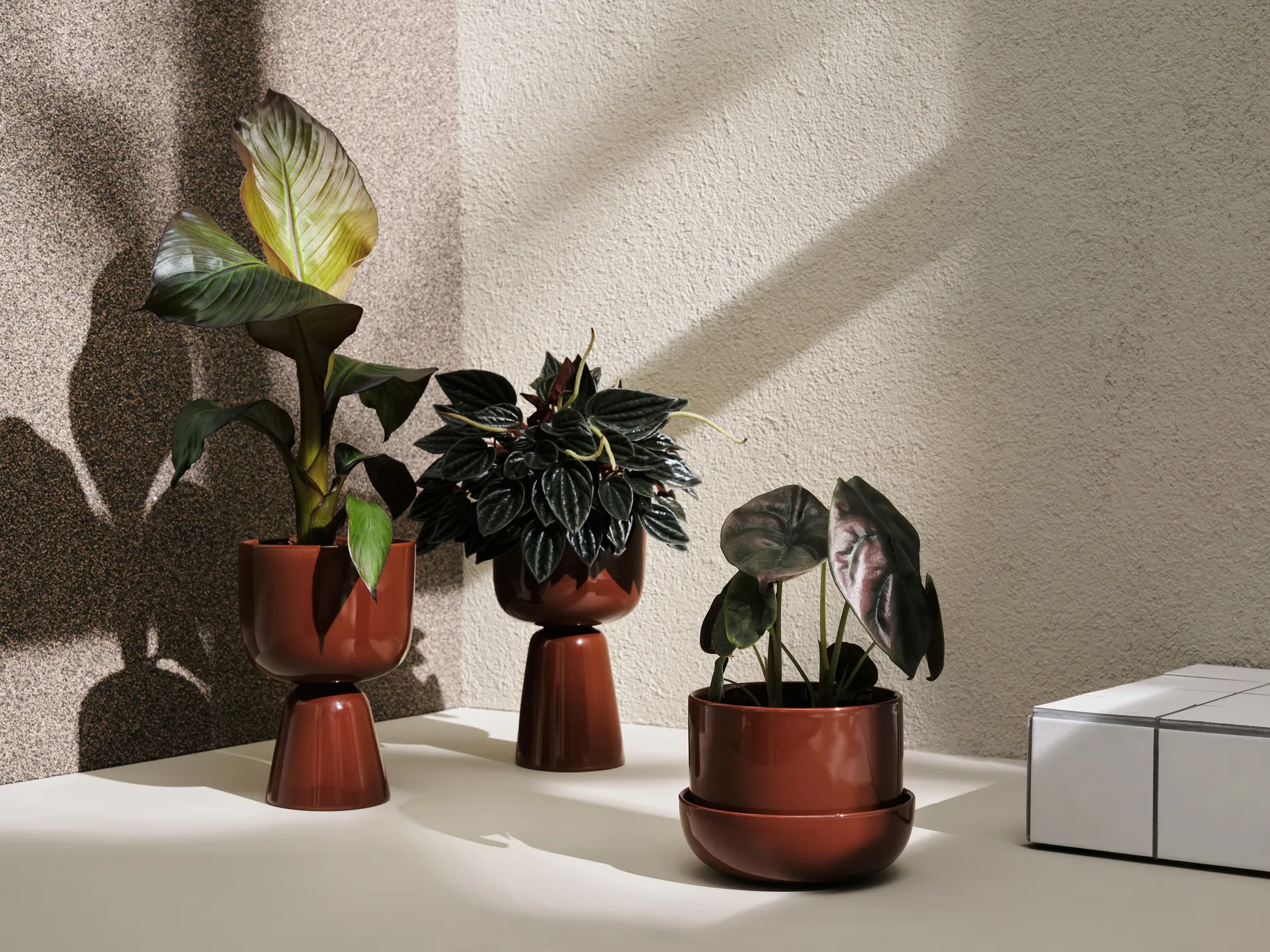 Maceta Nappula Ø15 cm altura 26 cm, marrón Iittala