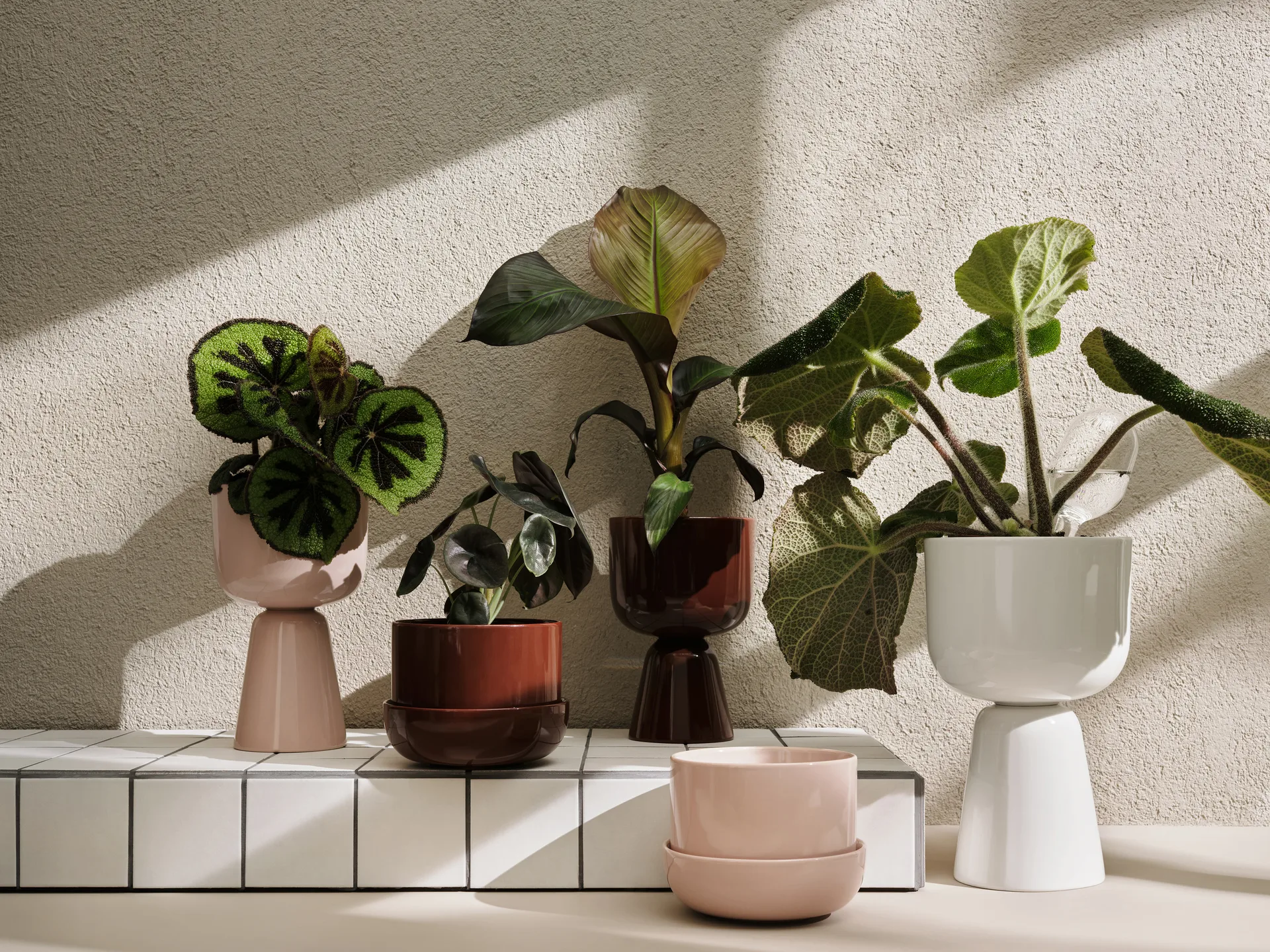 Maceta Nappula h32 cm Ø19 cm, blanco Iittala