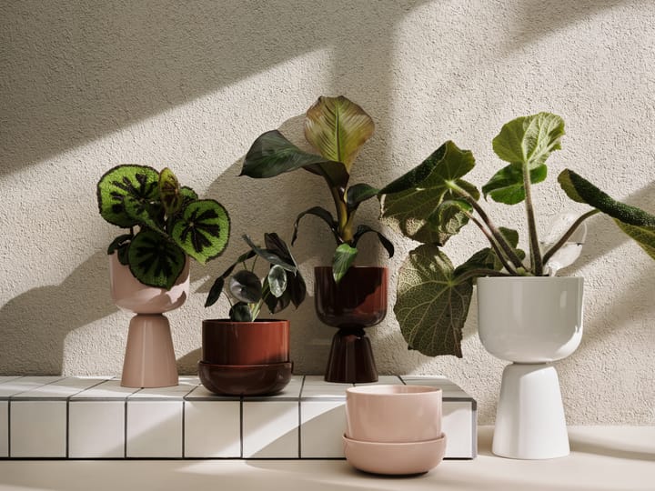 Maceta Nappula h32 cm Ø19 cm, blanco Iittala