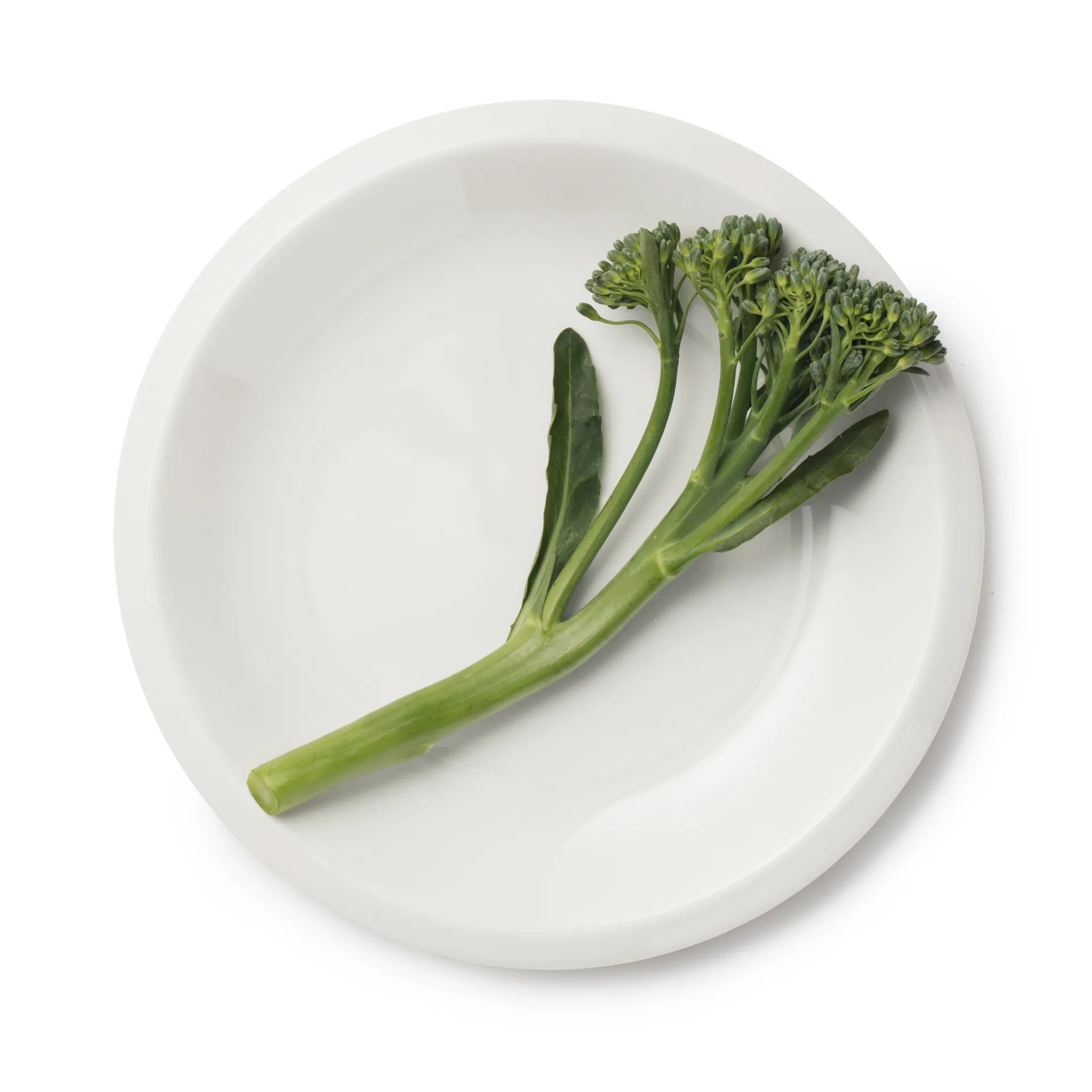 Platillo Raami 17 cm, blanco Iittala