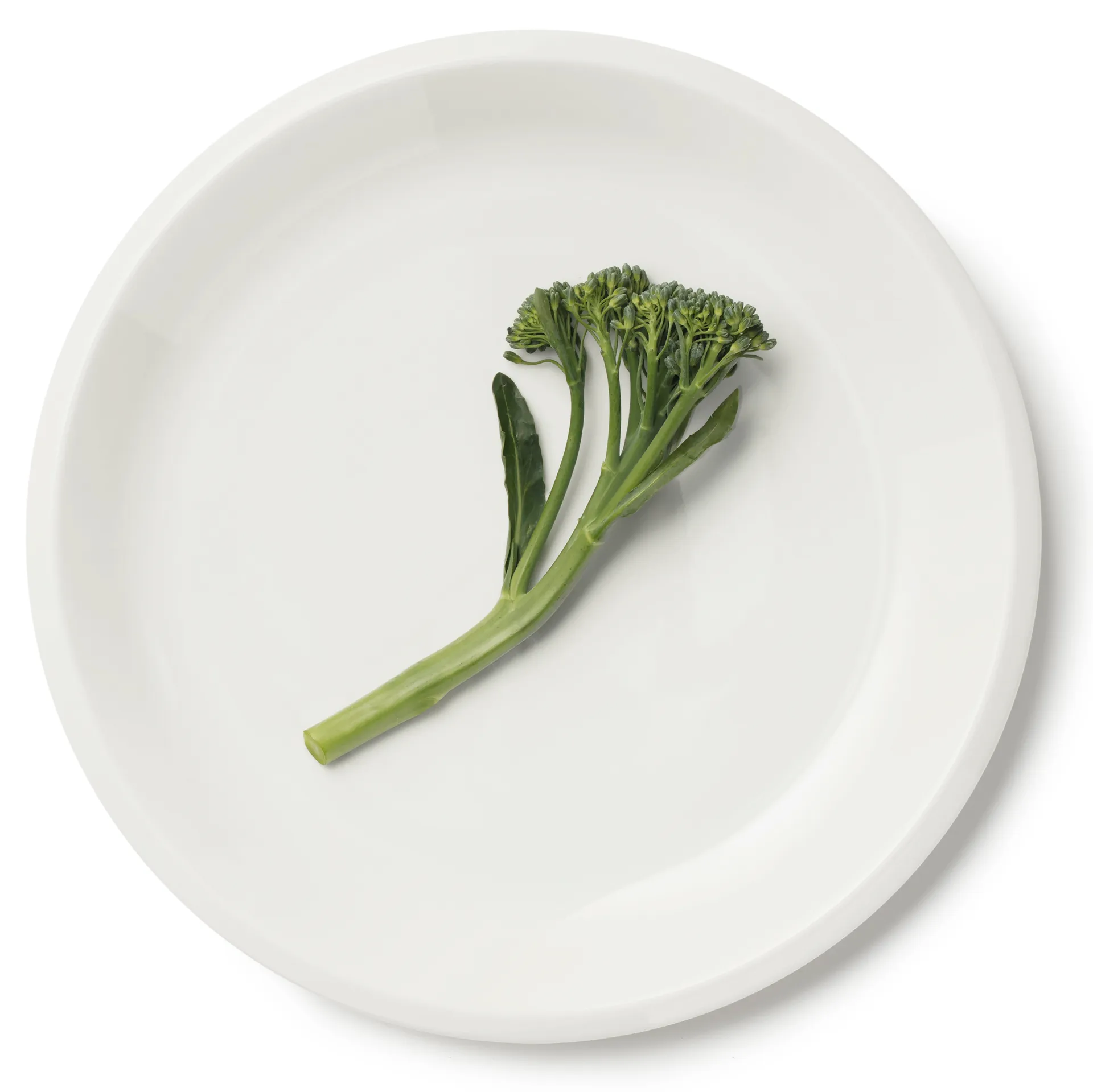 Plato Raami 27 cm, blanco Iittala