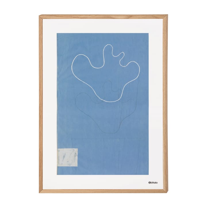 Póster Aalto art Sketch blue, 50 x 70 cm Iittala
