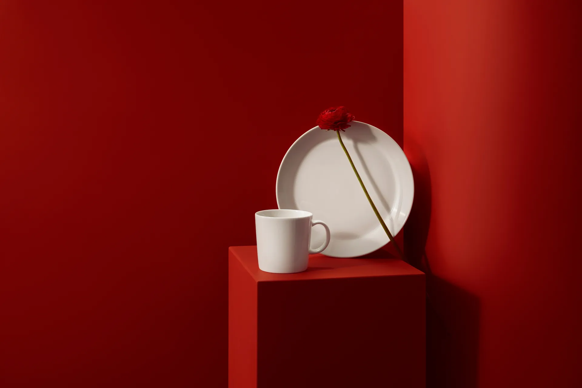 Vajilla Teema, 16 piezas Iittala