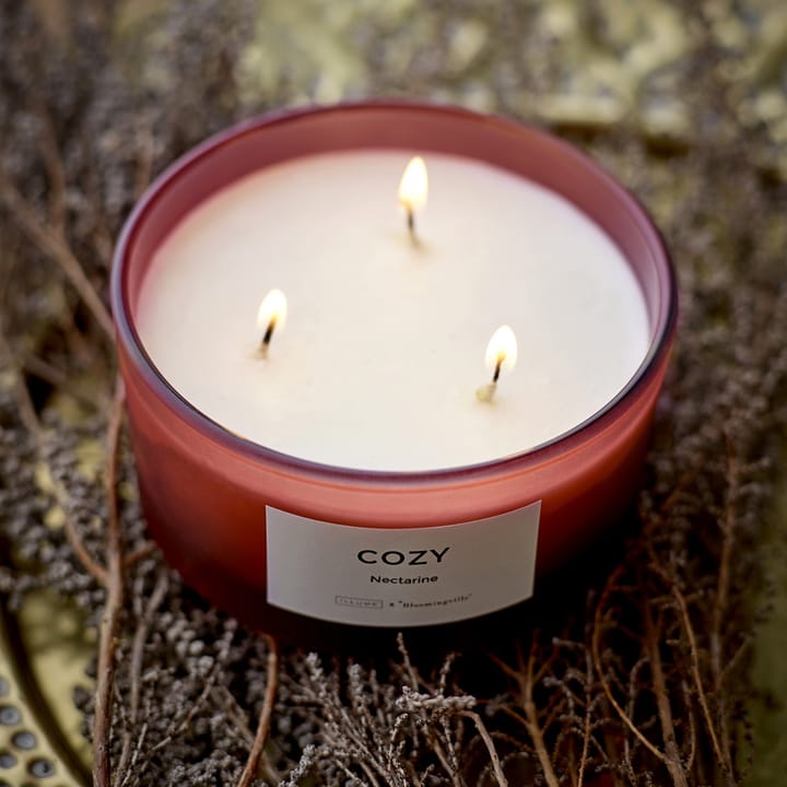 Vela perfumada Cozy Nectarine, 250 g Illume x Bloomingville