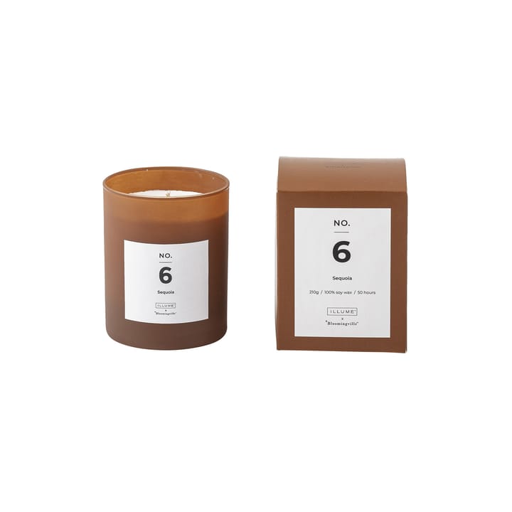 Vela perfumada NO. 6 Sequoia - 200 g + Caja regalo - Illume x Bloomingville