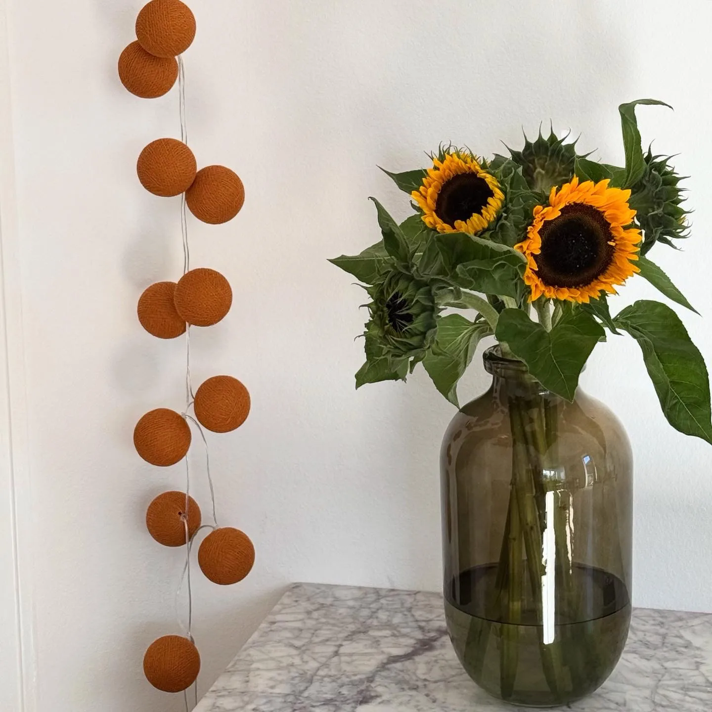 Guirnalda de luces Irislights, Terracotta, 20 bolas Irislights