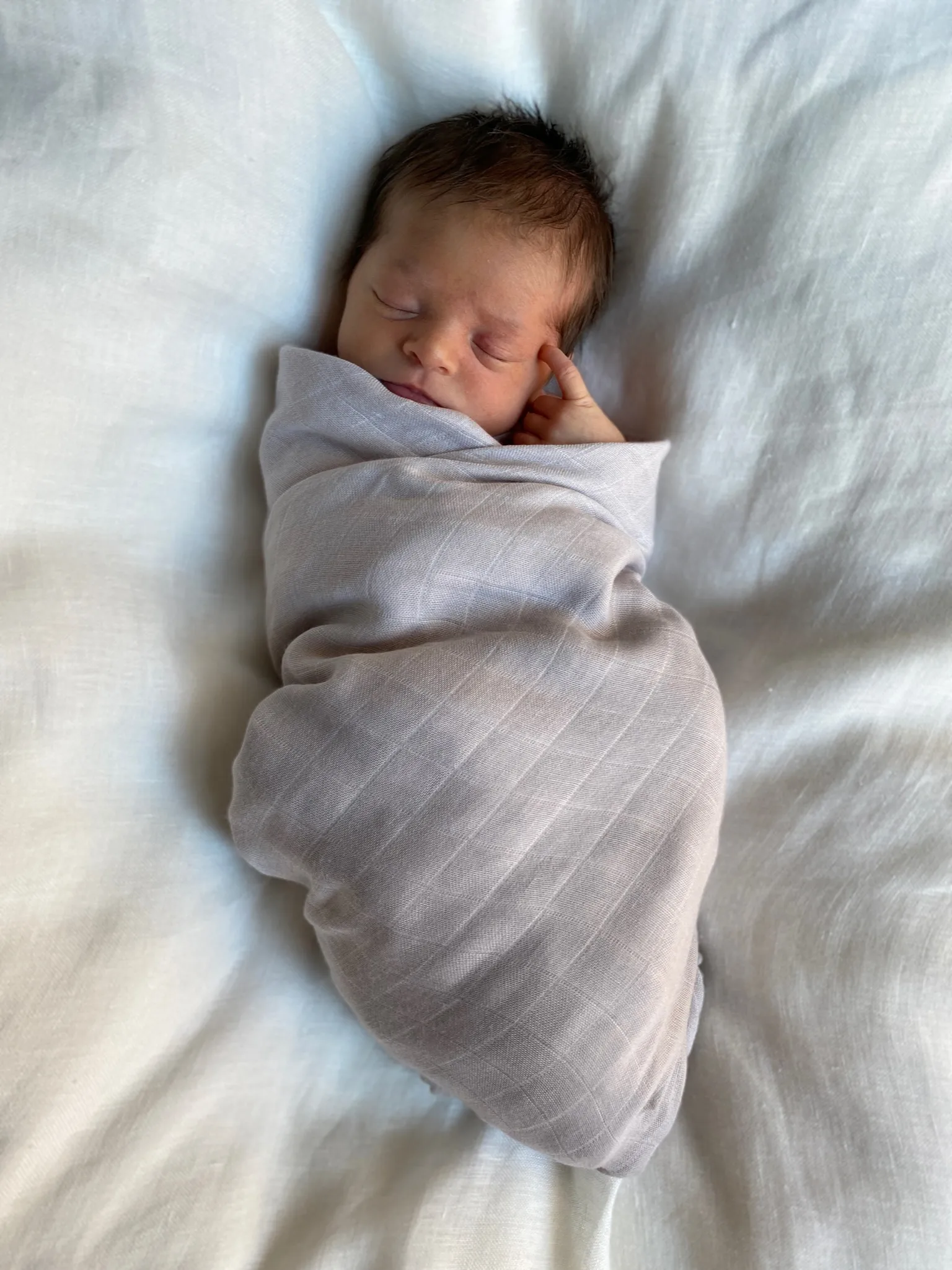 Set de 2 mantas de muselina Pom Pom 120x120 cm, Pearl & Dusty gray Jack o Juno