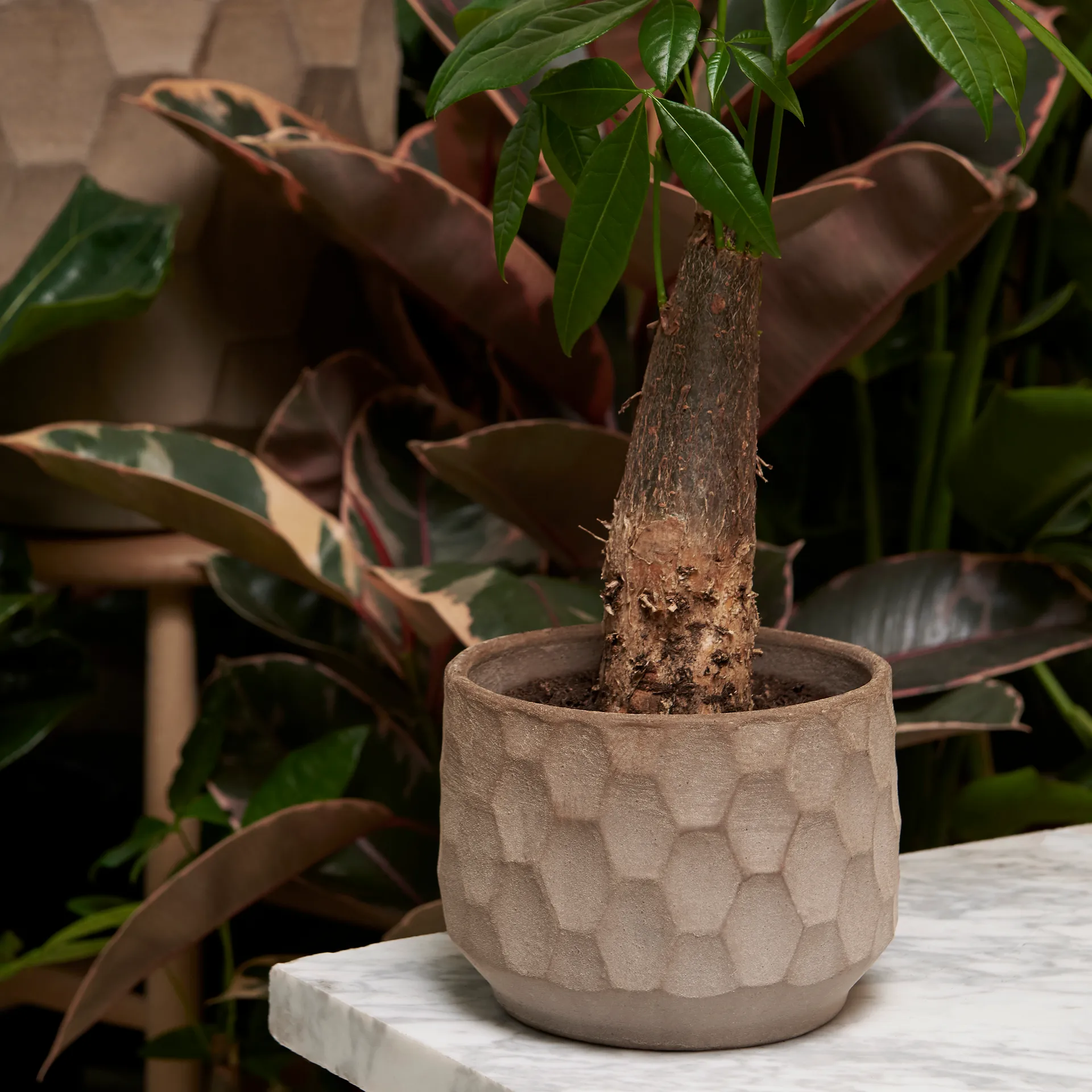 Maceta Gro arena clara, Ø26,5 cm Kähler