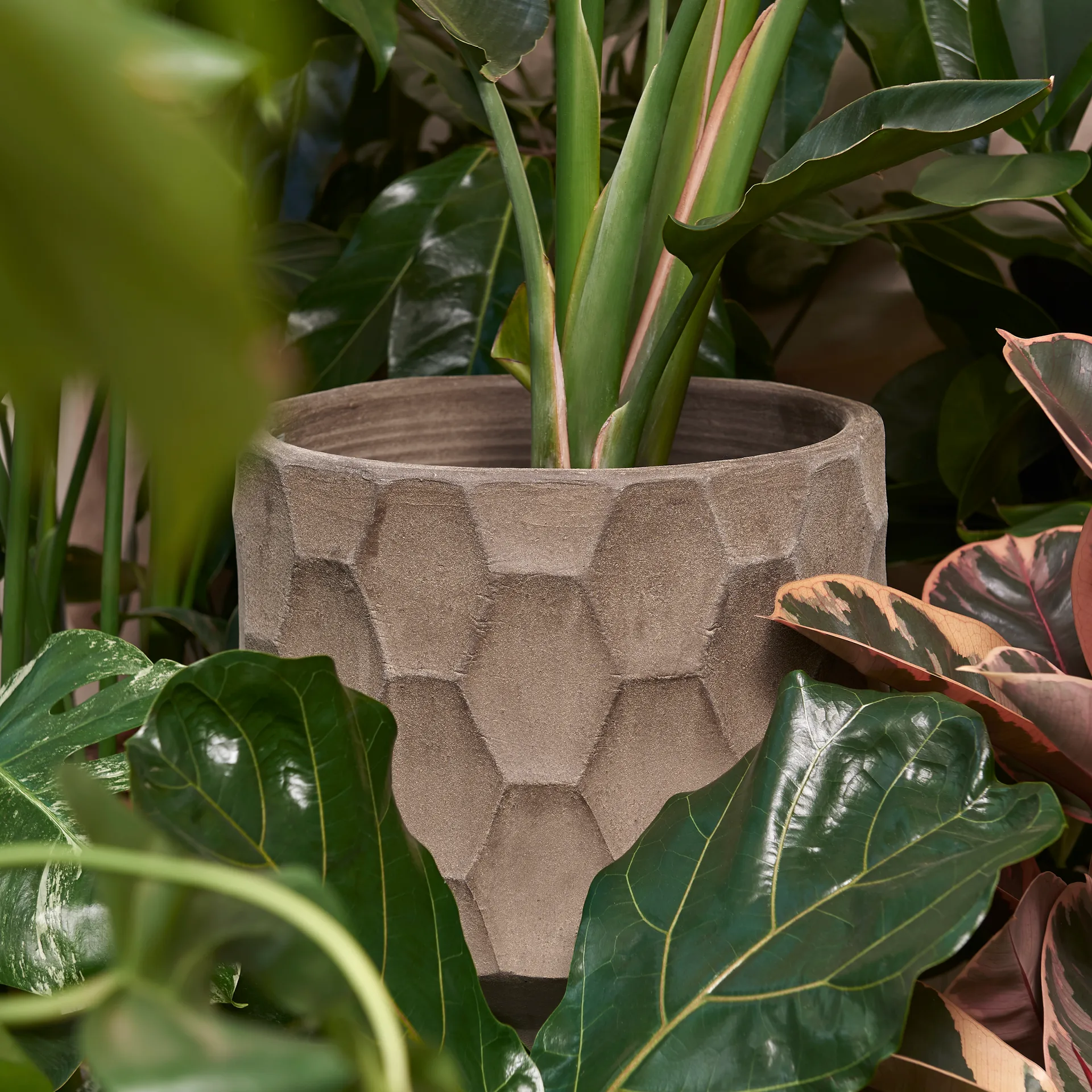 Maceta Gro arena clara, Ø26,5 cm Kähler