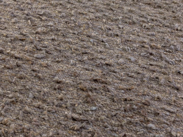 Alfombra Woolly, Light brown 170x240 cm Kateha