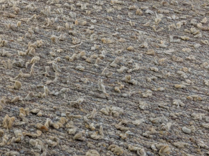 Alfombra Woolly, Light grey 200x300 cm Kateha