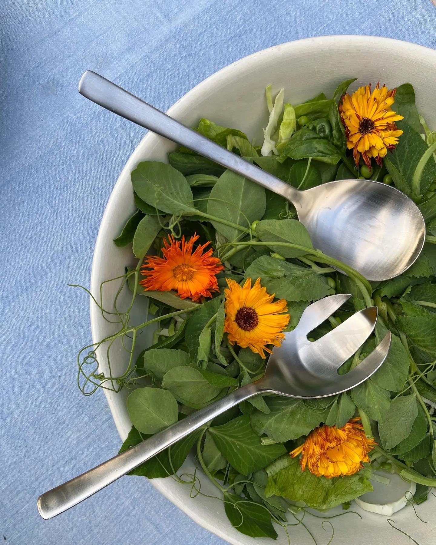 Cubiertos de ensalada Grand Prix 23,5 cm 2 piezas, Matte steel Kay Bojesen