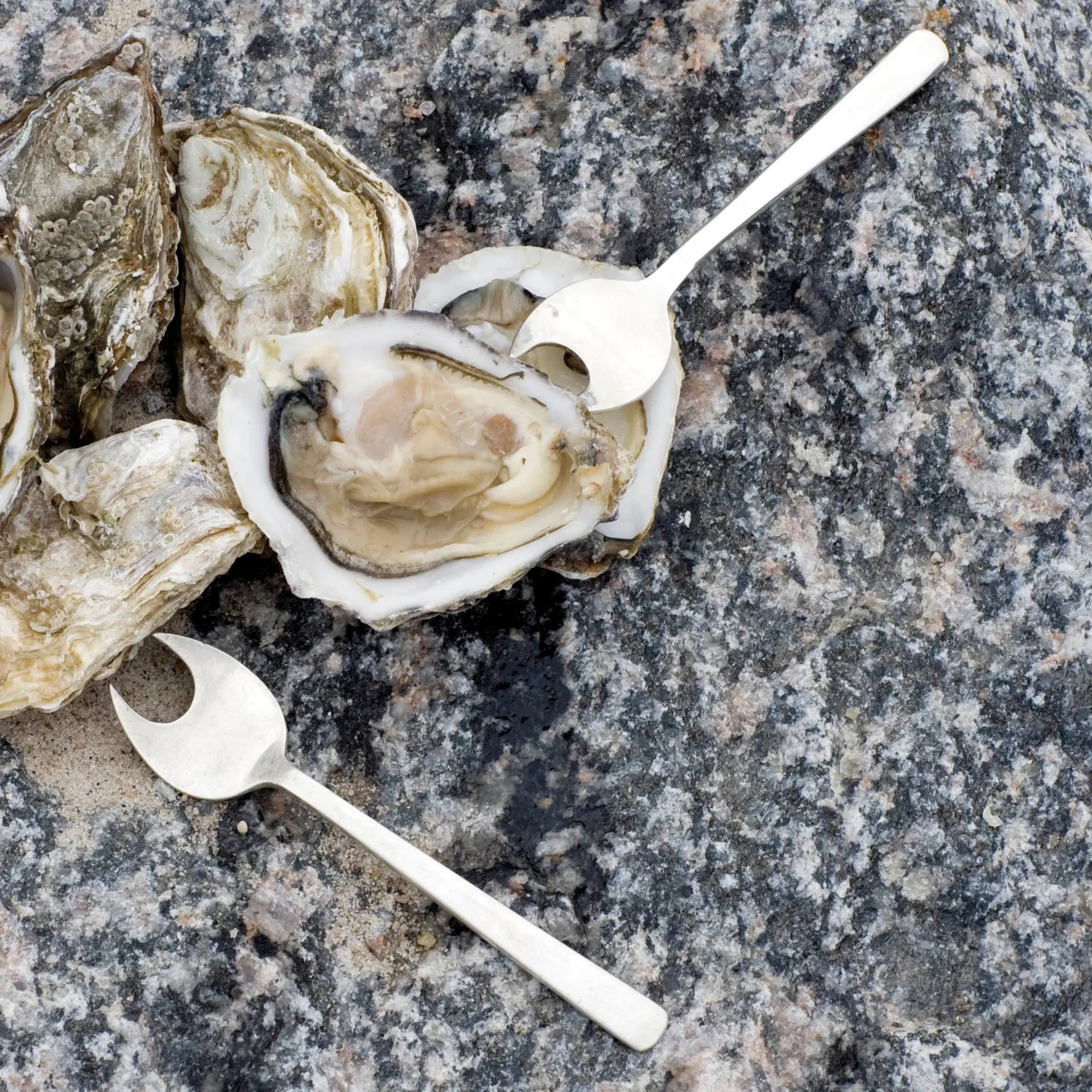 Cubiertos de marisco Grand Prix 8 piezas, Matte steel Kay Bojesen