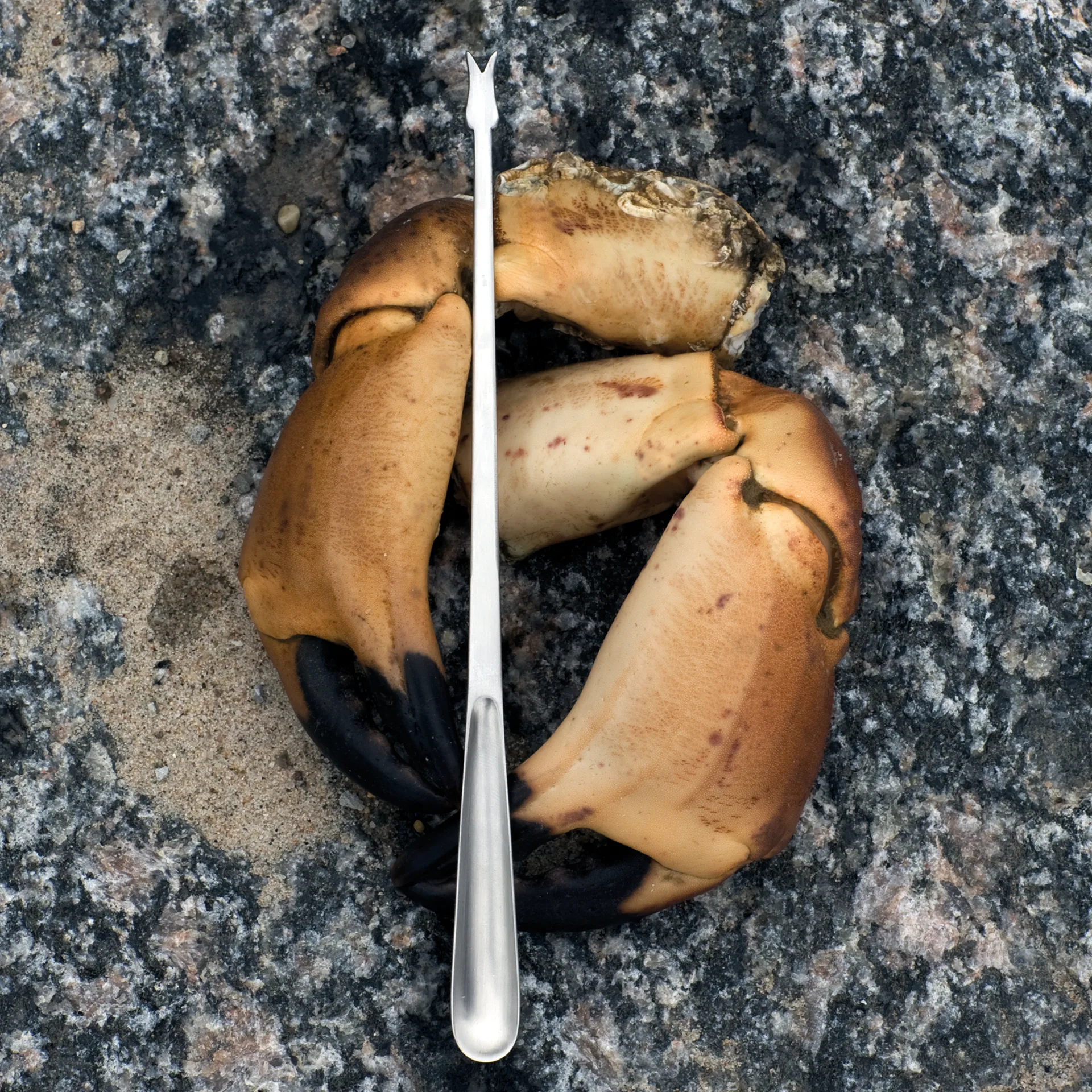 Cubiertos de marisco Grand Prix 8 piezas, Matte steel Kay Bojesen