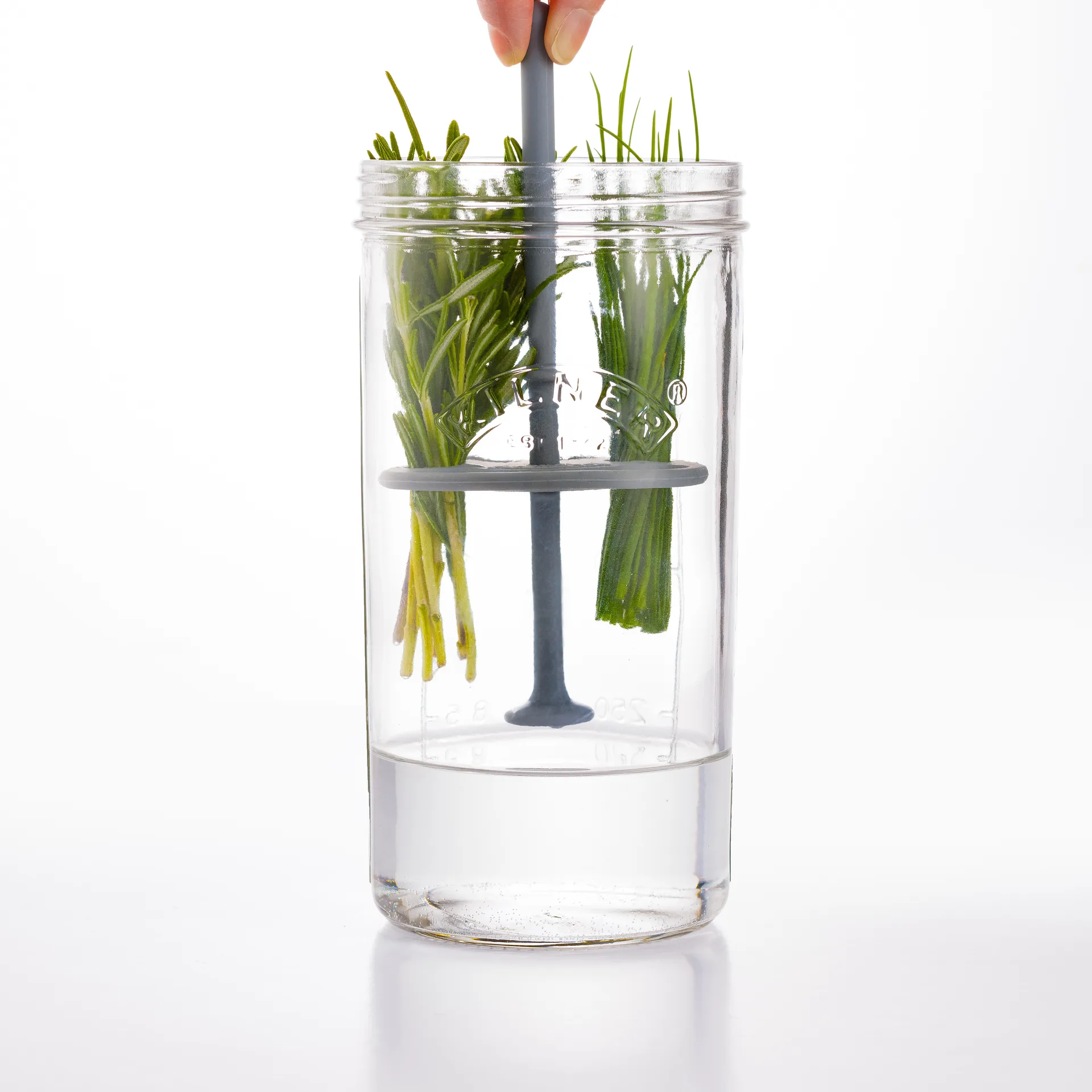 Conservador de hierbas frescas Kilner, Transparente Kilner