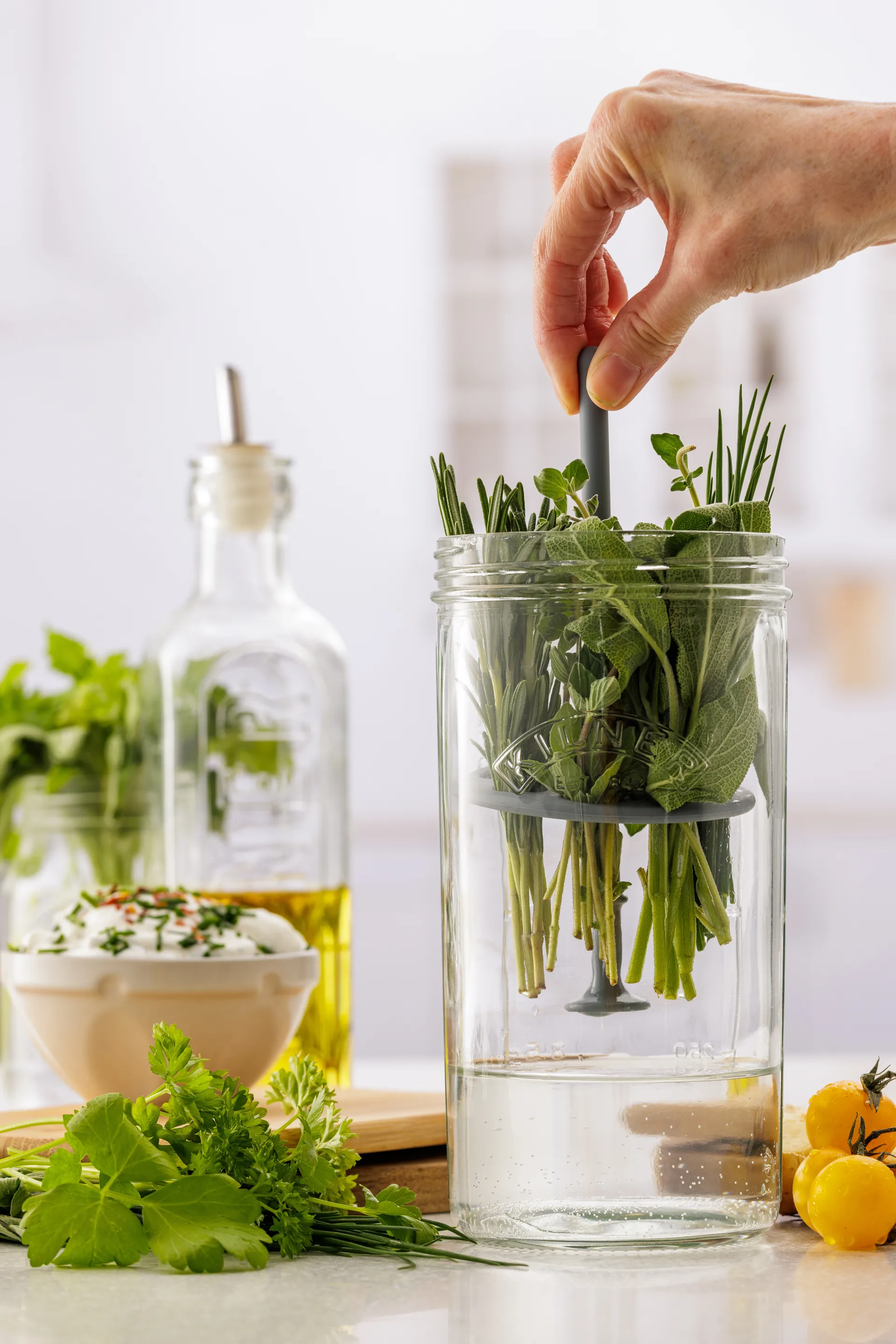 Conservador de hierbas frescas Kilner, Transparente Kilner