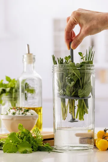 Conservador de hierbas frescas Kilner - Transparente - Kilner