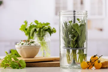 Conservador de hierbas frescas Kilner - Transparente - Kilner