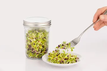 Set de germinación Kilner - Transparente-blanco, 500 ml - Kilner